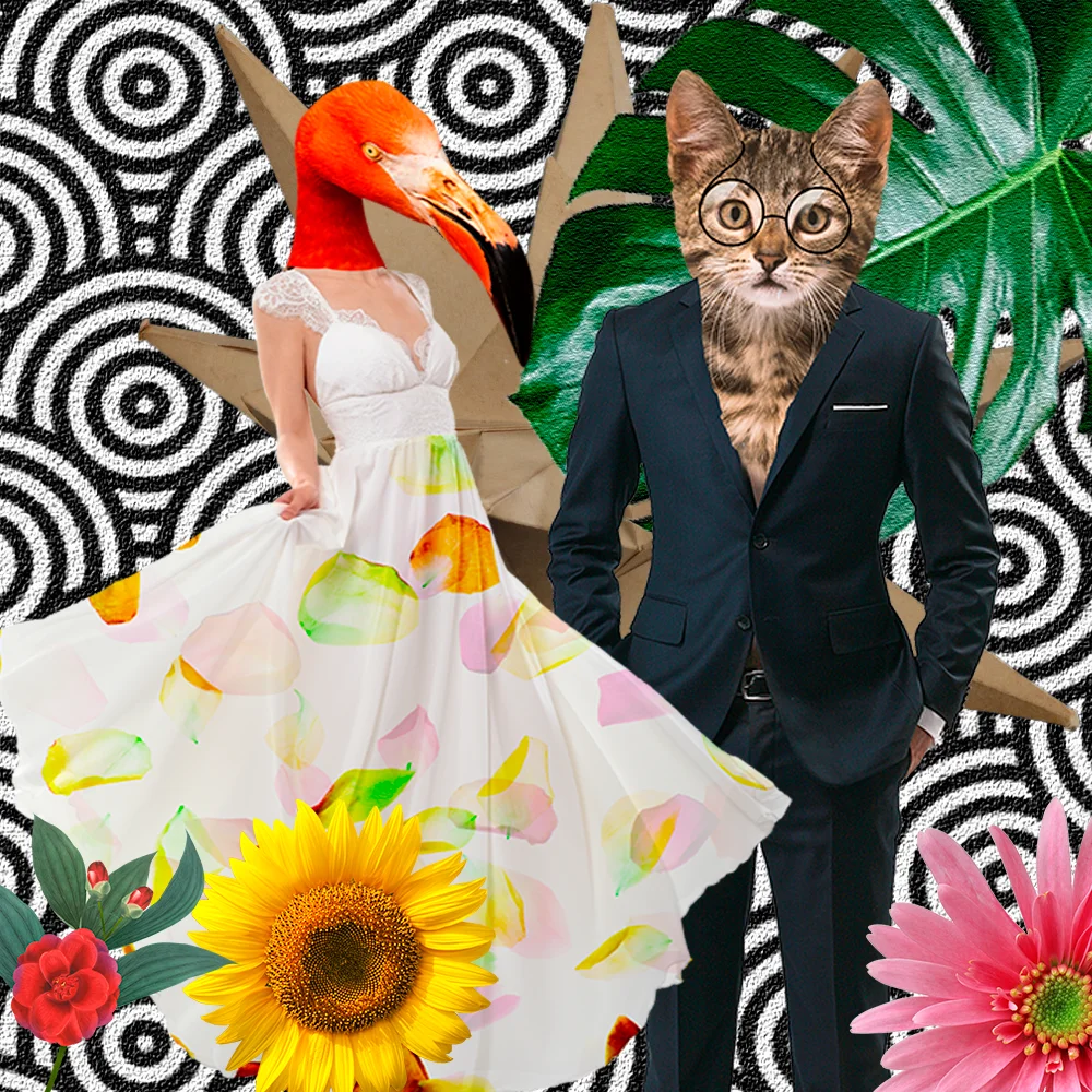 #0021 fashion animal catwalk