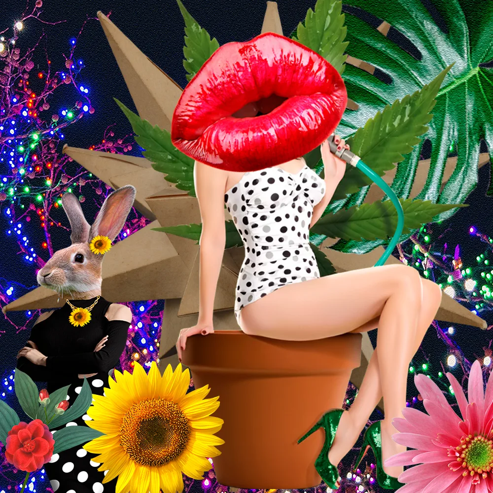 #0022 fashion animal catwalk