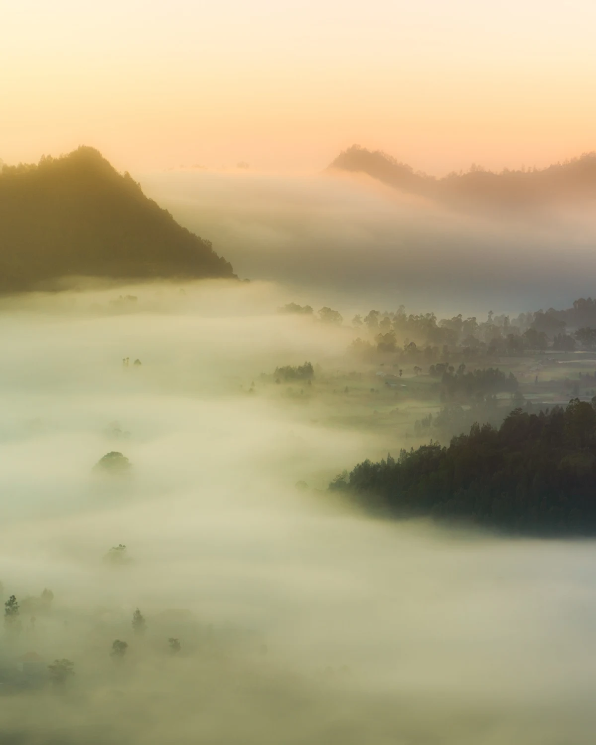 Dreamy Morning