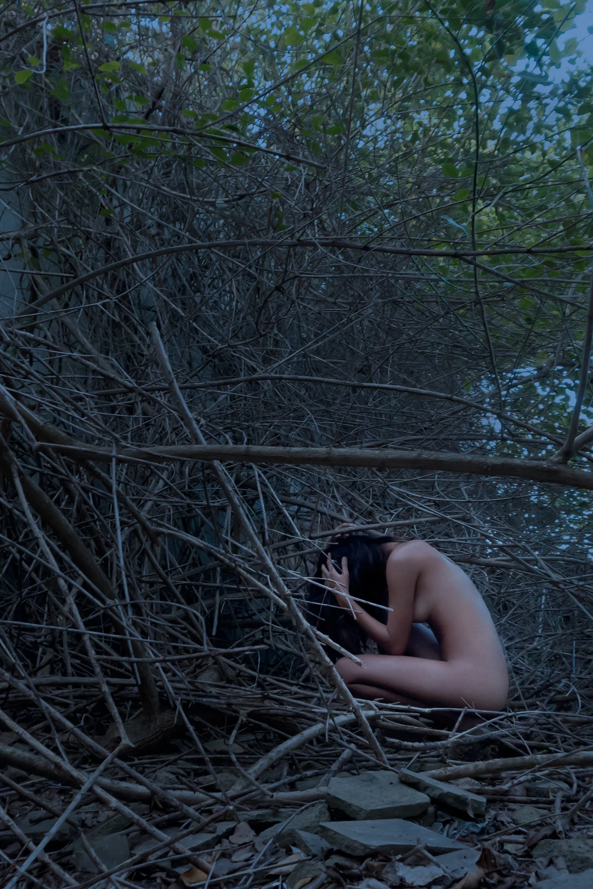 Roots Embracing