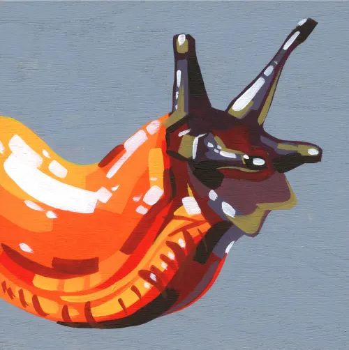 namekuji