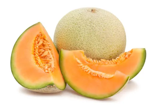 MelonFund