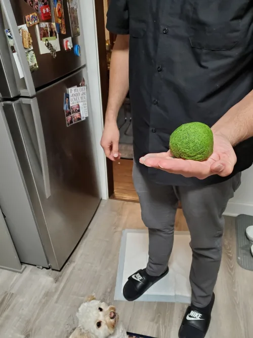 niftynic