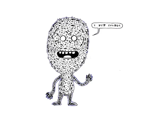 mrkamataris