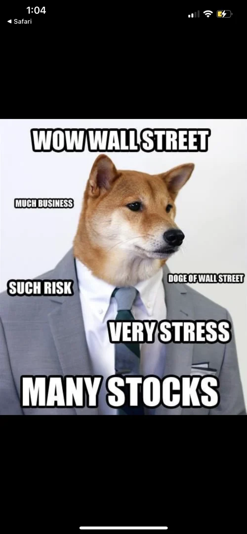 dogeofwallstreet