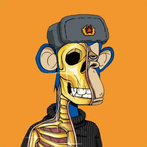 Crypto Fahrer