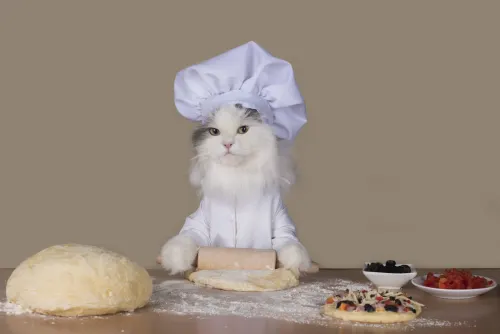 bakercat09