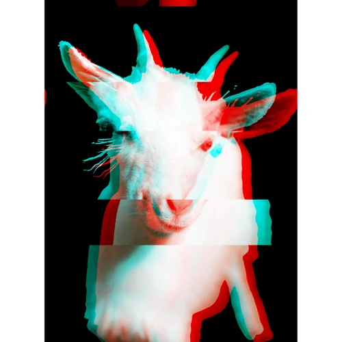 lennythegoat