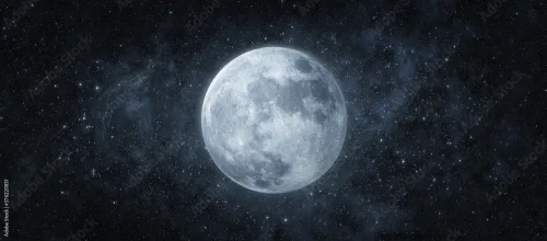 spaceisnow