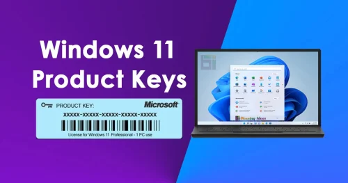 Windows 11 Professional License Code Key