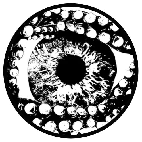 octoview