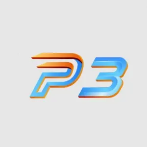 P3
