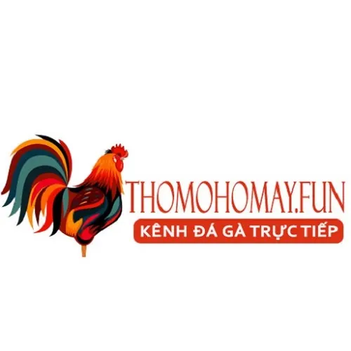 Thomohomnay  Trực tiếp đá gà Thomo hôm nay