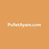 pullet ayam