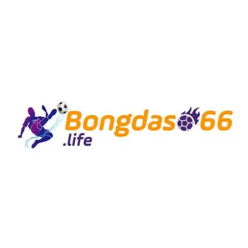 Bongdaso66 life