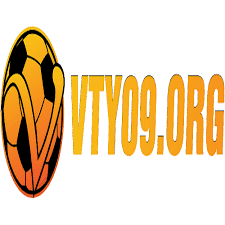 VTY09 org