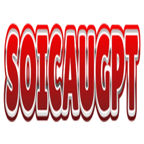 Soicaugpt com