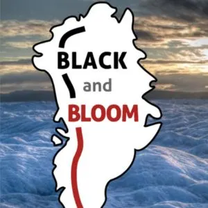 Black and Bloom