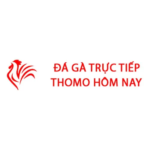 Đá Gà Trực Tiếp  Thomo Hôm Nay