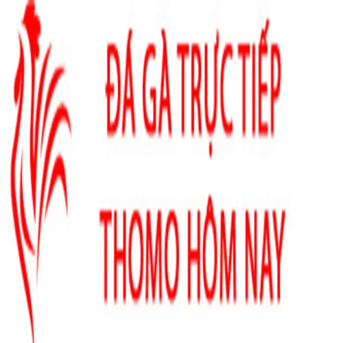 Đá Gà Trực Tiếp  Thomo Hôm Nay