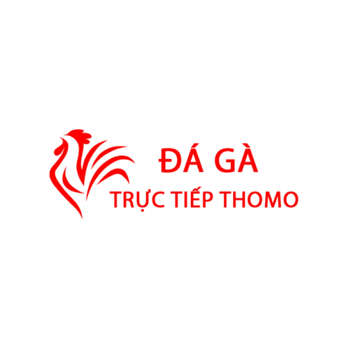 Đá Gà Trực Tiếp Thomo Hôm Nay