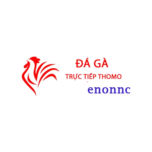 Đá Gà Trực Tiếp Thomo Hôm Nay