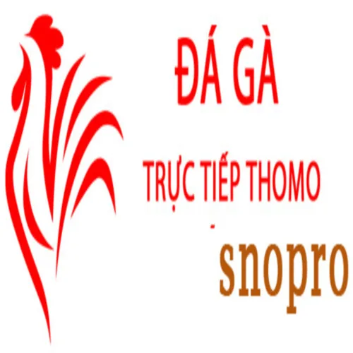 Đá Gà Trực Tiếp  Thomo Hôm Nay