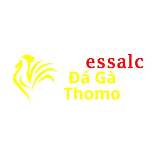 Đá Gà Trực Tiếp  Thomo