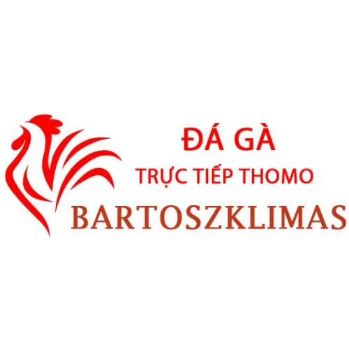 Đá Gà   Trực Tiếp Thomo