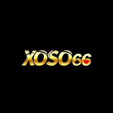 xo66 lcc