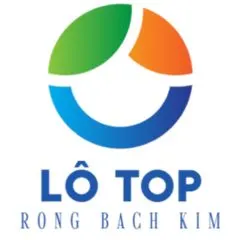 Lô top