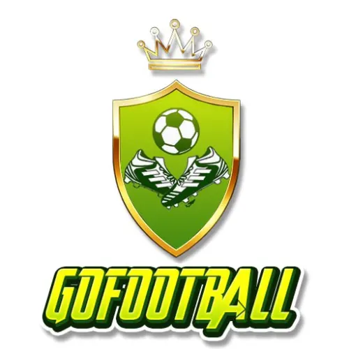 Trang Cá Độ Bóng Đá Gofootballtogo.com