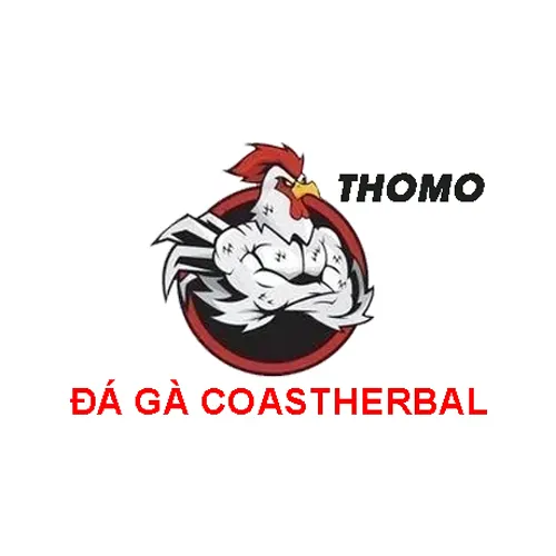 ĐÁ GÀ THOMO TRỰC TIẾP