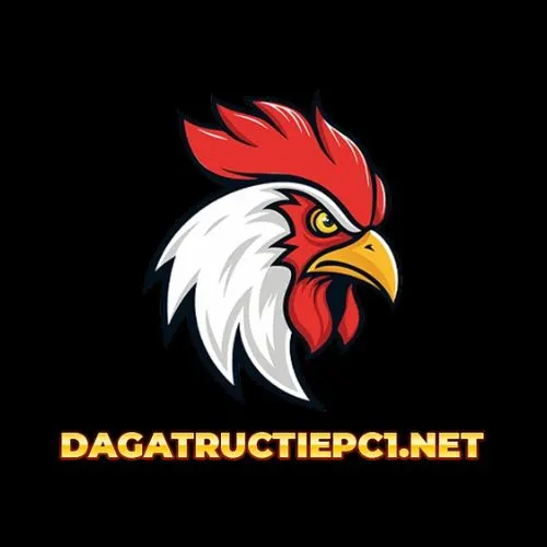 ĐÁ GÀ TRỰC TIẾP