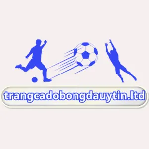 Trang Cá Độ Bóng Đá Uy Tín