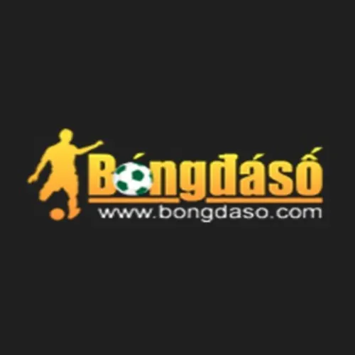 Bongdaso  Fit