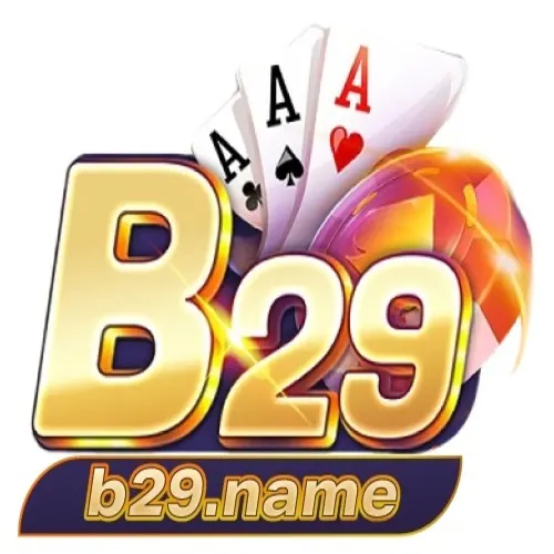 b29 