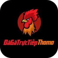 Dagatructiepthomo today