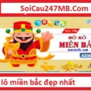 Soi Cầu 247 MB 