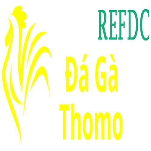 Đá Gà Trực Tiếp  Thomo