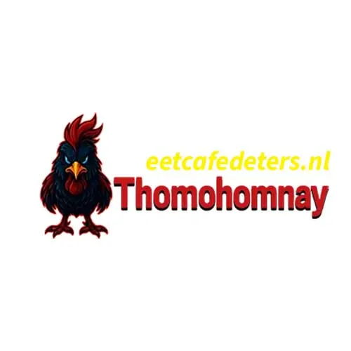 THOMOHOMNAY  