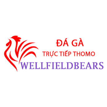 Đá Gà Trực Tiếp  Thomo
