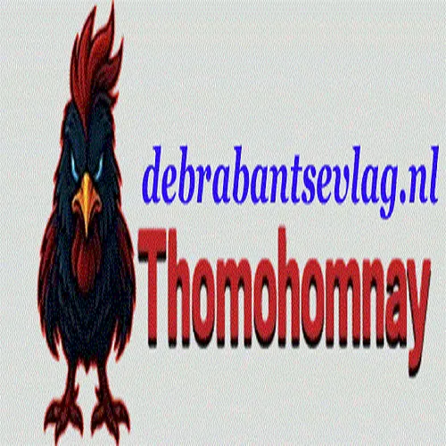 THOMOHOMNAY deb