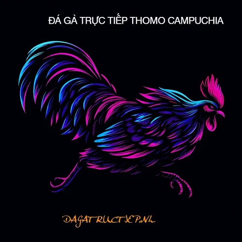 ĐÁ GÀ TRỰC TIẾP THOMO CAMPUCHIA Full HD HÔM NAY