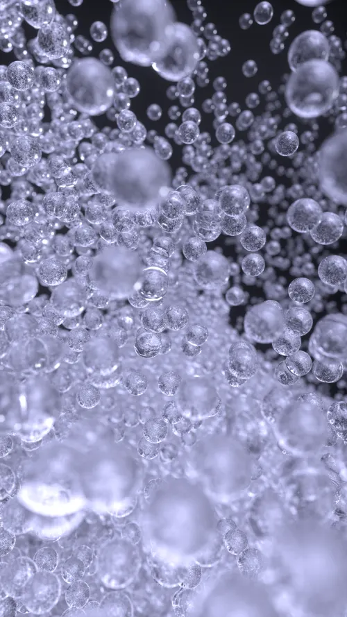 Transparency