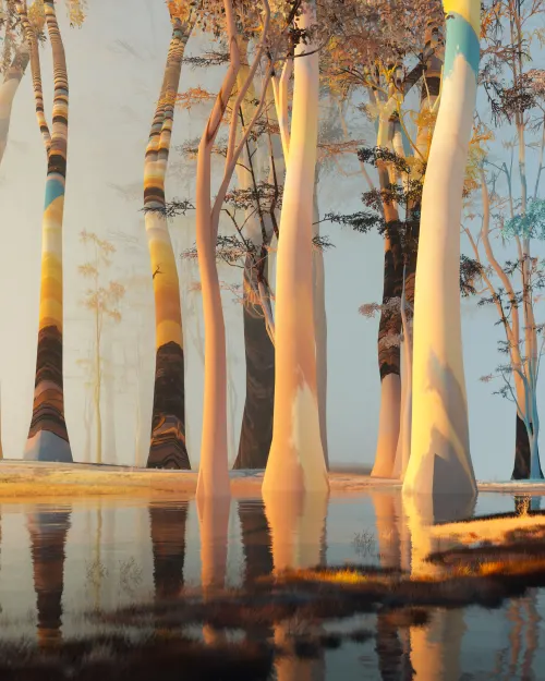 Dreamscape