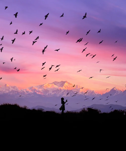 Bird Whisperer