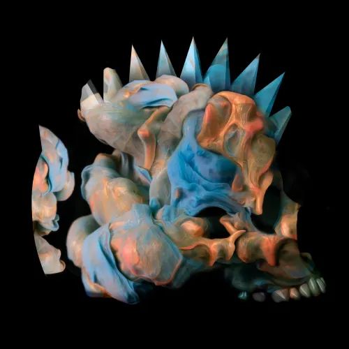 Fluid Skull by Alberto Seveso