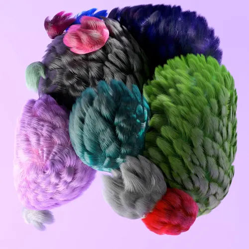 Cluster