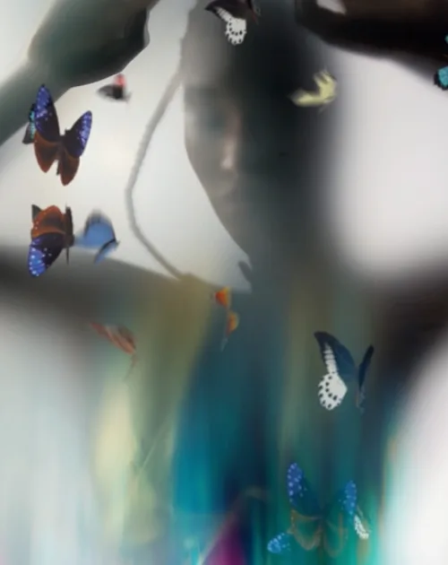 Glass Butterfly: Frida Cash Flow